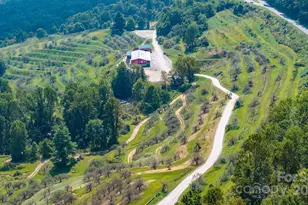 1174 Apple Ln, Spruce Pine, NC 28777 - Photo 34