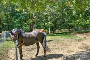 205 Airport Rd, Monroe, NC 28110 - Photo 22