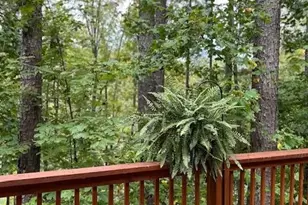 106 Lake Terrace Dr, Nebo, NC 28761 - Photo 10