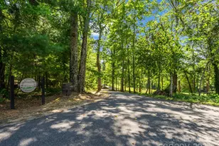 1050 Hunting Country Rd, Tryon, NC 28782 - Photo 2