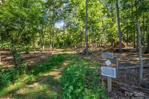 1050 Hunting Country Rd, Tryon, NC 28782 - Photo 40