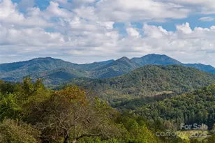 156 Jubilee Way, Waynesville, NC 28785 - Photo 30