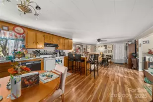 133 Pheasant Ln, Columbus, NC 28722 - Photo 22