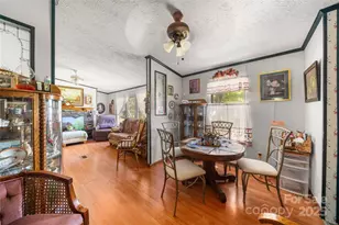 133 Pheasant Ln, Columbus, NC 28722 - Photo 40