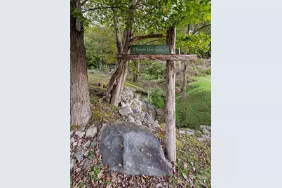 635 Whisper Mountain Drive, Leicester, NC 28748 - Photo 46