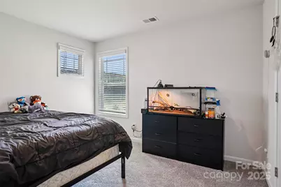 160 Saidin Lane, Troutman, NC 28166 - Photo 38