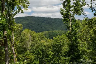 21 Windcliff Dr, Asheville, NC 28803 - Photo 42