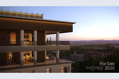 161 Church Street #1001, Asheville, NC 28801 - Photo 4