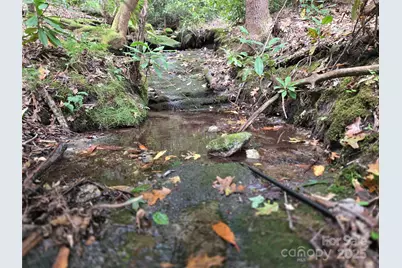 557 Country Club Estates Drive, Sapphire, NC 28774 - Photo 34