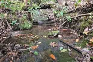 557 Country Clb Ests Dr, Sapphire, NC 28774 - Photo 34