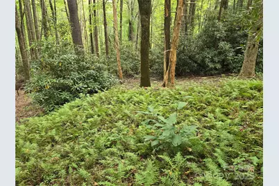 557 Country Club Estates Drive, Sapphire, NC 28774 - Photo 36