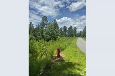 2169 Windom Peak Summit #199, Connelly Springs, NC 28612 - Photo 8