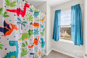 183 Rustling Waters Dr, Mooresville, NC 28117 - Photo 36