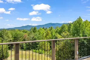 2435 Deep Gap Farm Rd E, Mill Spring, NC 28756 - Photo 24