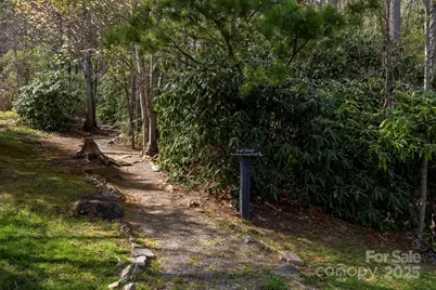 25 E Owl Creek Lane, Fairview, NC 28730 - Photo 42