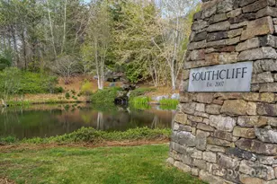 25 E Owl Creek Ln, Fairview, NC 28730 - Photo 46