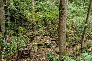 112 Boulder Crk Ln, Tuckasegee, NC 28783 - Photo 24