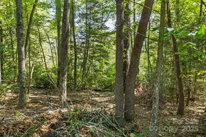 100 Greenbriar Avenue, Flat Rock, NC 28731 - Photo 10