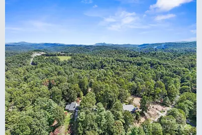 100 Greenbriar Avenue, Flat Rock, NC 28731 - Photo 36