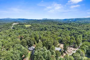 100 Greenbriar Ave, Flat Rock, NC 28731 - Photo 36