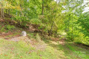 40 Craggy View Ln, Barnardsville, NC 28709 - Photo 26
