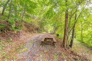 40 Craggy View Ln, Barnardsville, NC 28709 - Photo 22