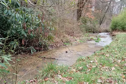 155 Old Starnes Cove Road, Asheville, NC 28806 - Photo 24