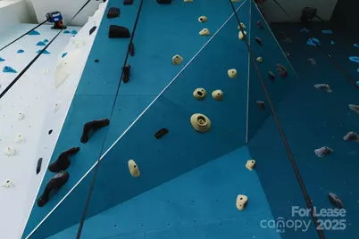 2161 Hawkins Street #1V-P, Charlotte, NC 28203 - Photo 18