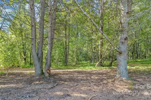 324 Center Ln, Thurmond, NC 28683 - Photo 12