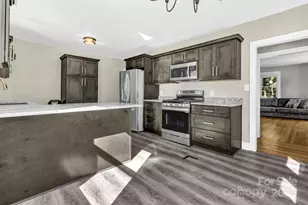 14 Mineral Springs Rd, Asheville, NC 28805 - Photo 14