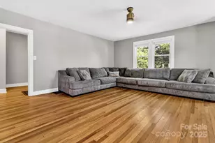 14 Mineral Springs Rd, Asheville, NC 28805 - Photo 6