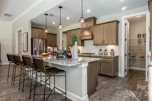 6020 Gray Shadow Ct, York, SC 29745 - Photo 4