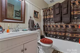 779 Thissa Way, Brevard, NC 28712 - Photo 36