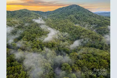 779 Thissa Way, Brevard, NC 28712 - Photo 6