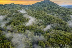 779 Thissa Way, Brevard, NC 28712 - Photo 6