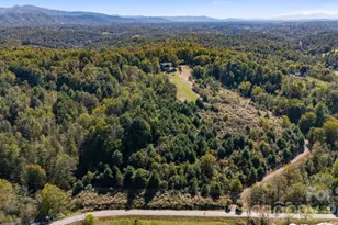 1387 Woods Ammons Rd, Mars Hill, NC 28754 - Photo 42