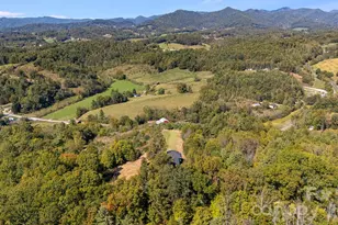 1387 Woods Ammons Rd, Mars Hill, NC 28754 - Photo 44