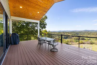 1387 Woods Ammons Road, Mars Hill, NC 28754 - Photo 4
