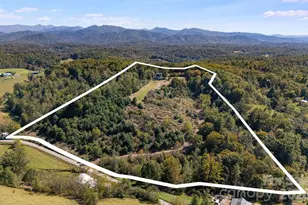 1387 Woods Ammons Rd, Mars Hill, NC 28754 - Photo 46