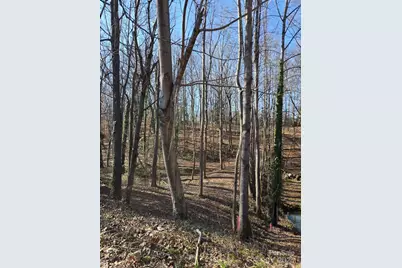 000 Spring Valley Lane, Statesville, NC 28677 - Photo 4