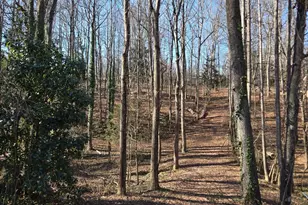 000 Spring Valley Ln, Statesville, NC 28677 - Photo 1
