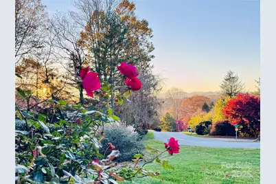 168 Mountain Valley Drive, Hendersonville, NC 28739 - Photo 40