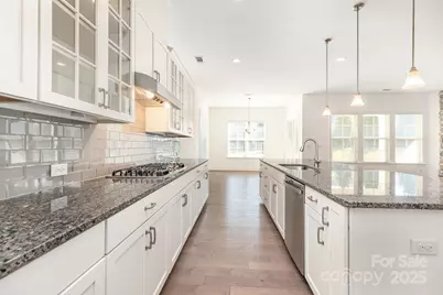 13609 Laughing Gull Drive, Charlotte, NC 28278 - Photo 8