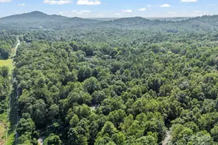 123 Mountain Village Blvd, Lake Lure, NC 28746 - Photo 30