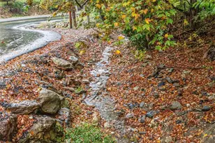 25 Ray Mine Rd, Burnsville, NC 28714 - Photo 34