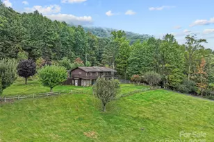 25 Ray Mine Rd, Burnsville, NC 28714 - Photo 2