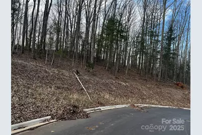 105 Woodland Meadows Drive #Tract A & B, Asheville, NC 28803 - Photo 4