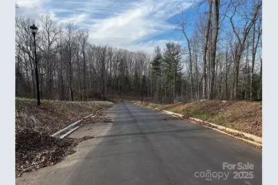 105 Woodland Meadows Drive #Tract A & B, Asheville, NC 28803 - Photo 6