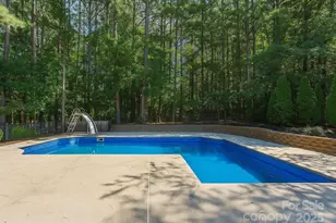 3839 Mountain Cove Dr, Charlotte, NC 28216 - Photo 42
