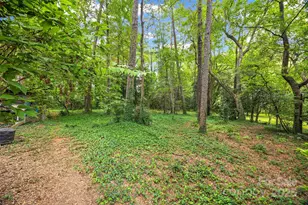 327 Livingston Dr, Charlotte, NC 28211 - Photo 12